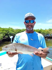 Redfish from Crystal River